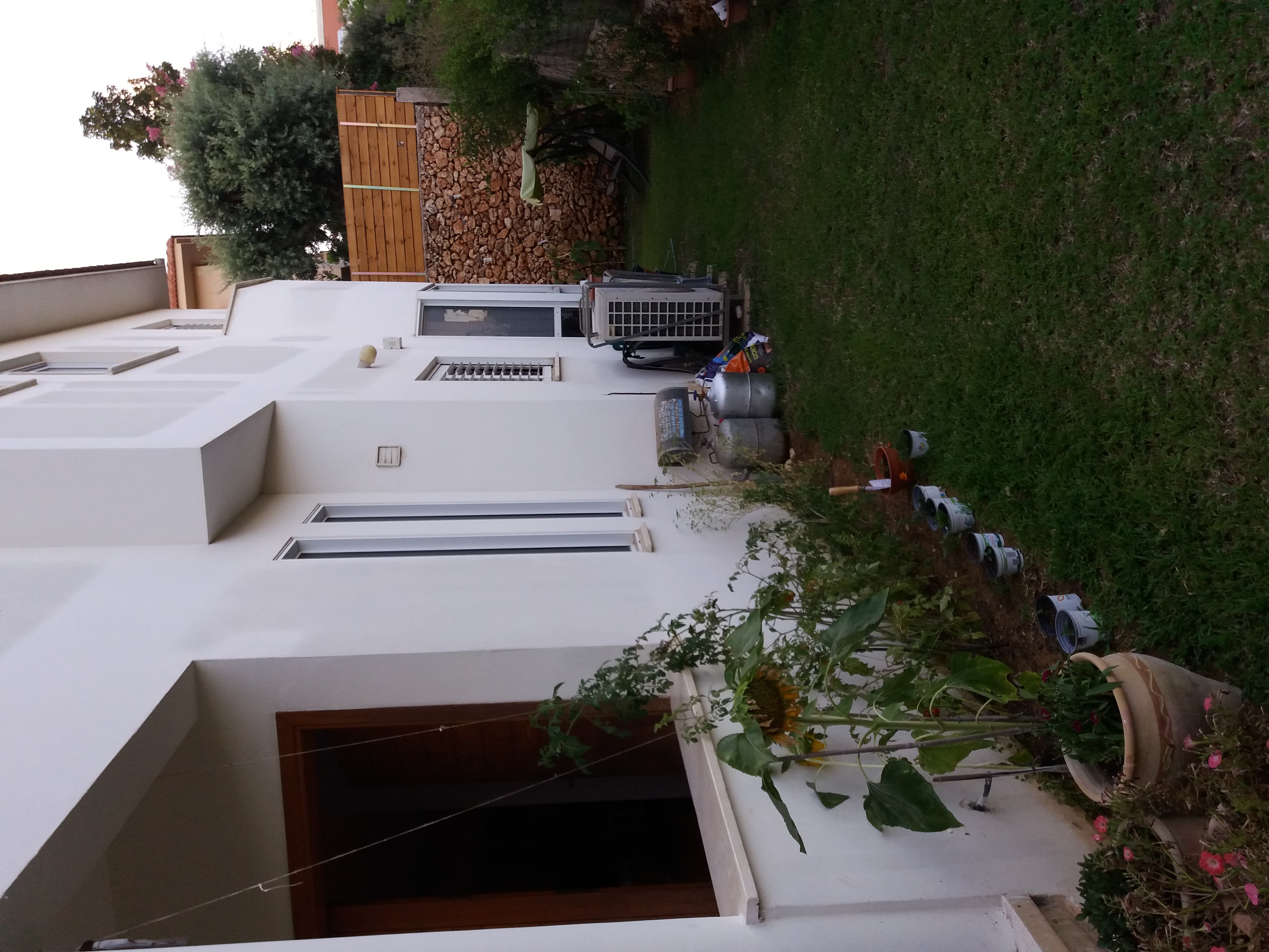 עבודות חוץ טייח צבעוני