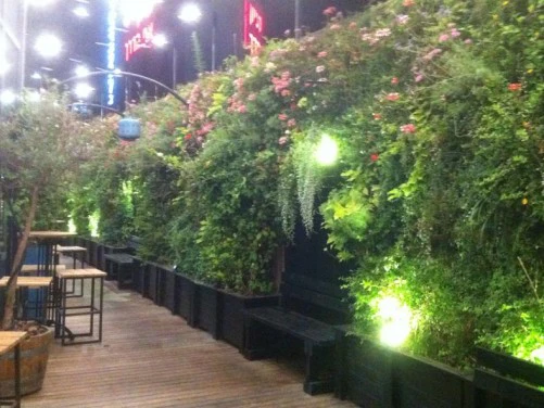 מה חשוב לדעת לקראת הקמת גינה במרפסת?