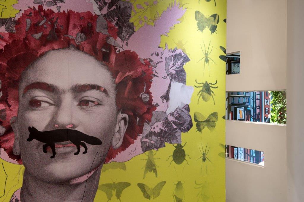 ×¦×××¨ ×§××¨ ×××©×¨× ×¤×¨×¡××