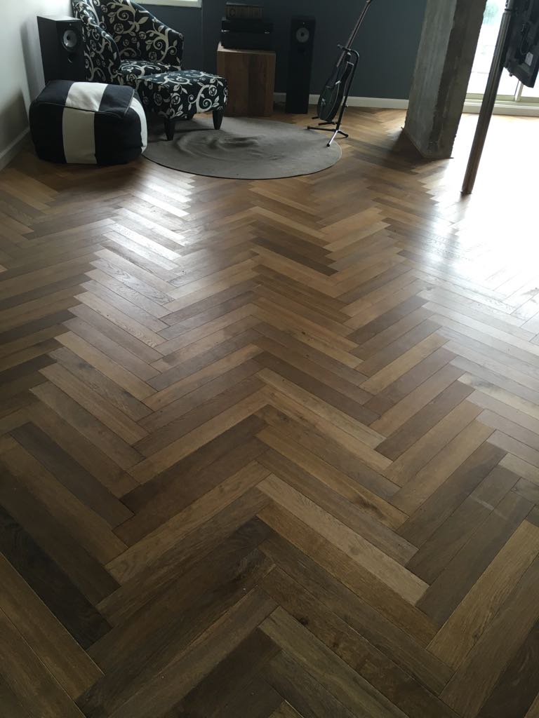 טעימות מפרויקטים שונים