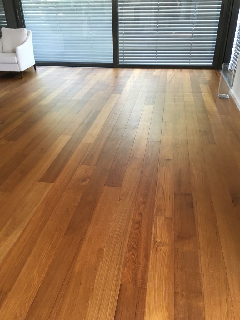 טעימות מפרויקטים שונים