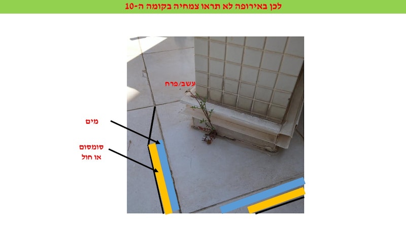 ×××ר××¤× ×× ×ª×¨×× ×¦×××× ××§××× 10