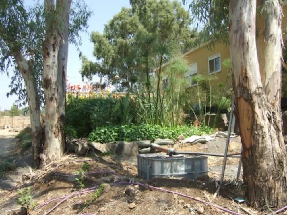 דוגמה למתקן לטיהור מים