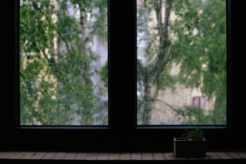 ××¢×× ×קצ××¢ ×ש××××× ×ש×פ××¥ - ×××× ×ת