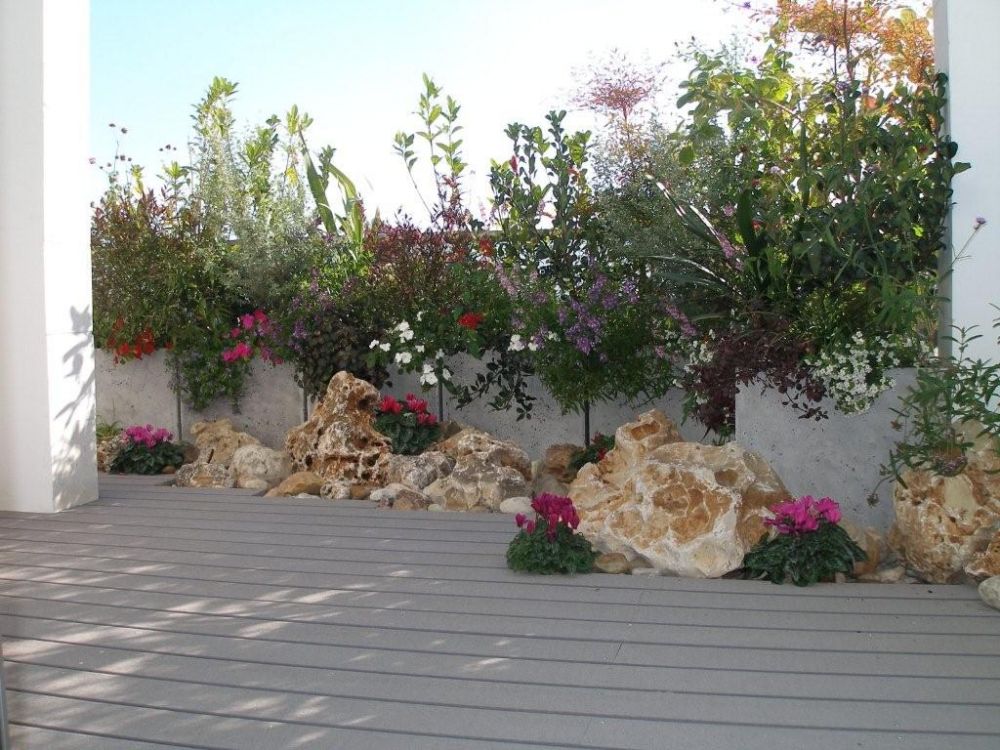 עיצוב גינה ברעננה