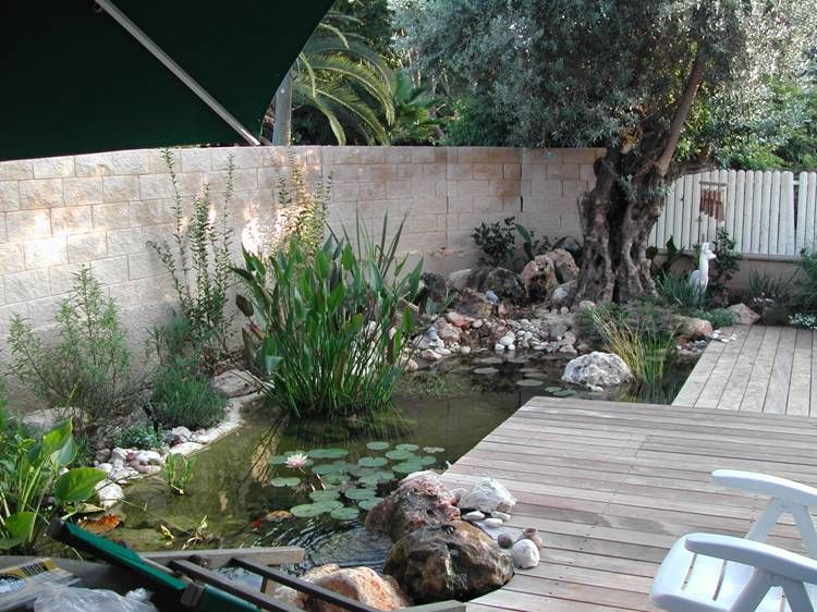 עיצוב גינה ברעננה