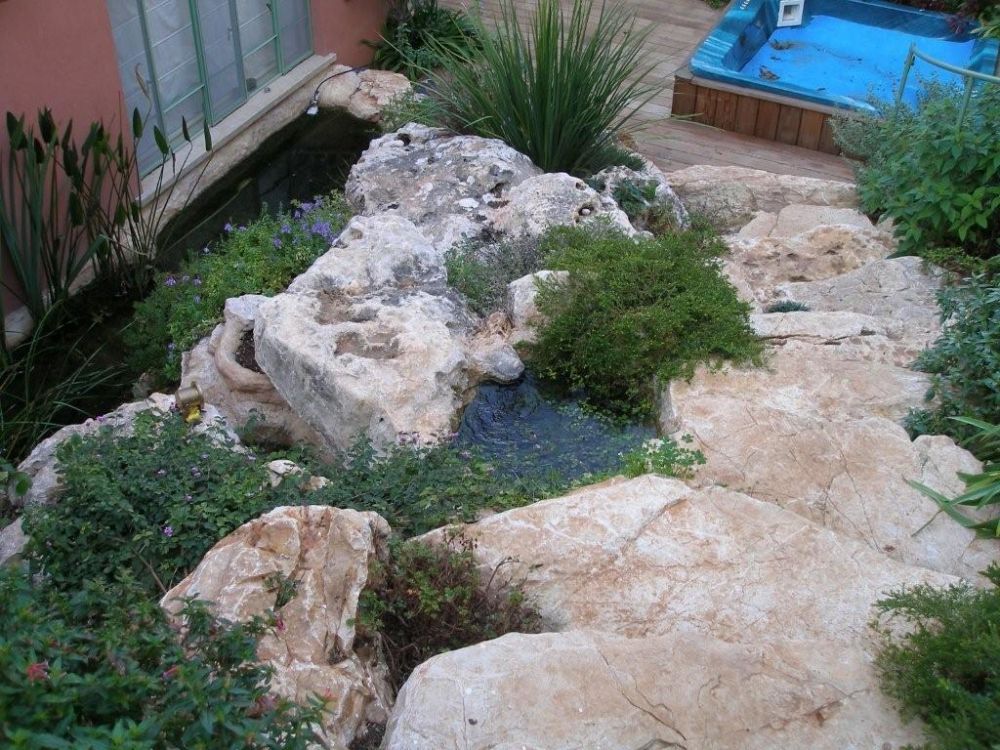 עיצוב גינה ברעננה