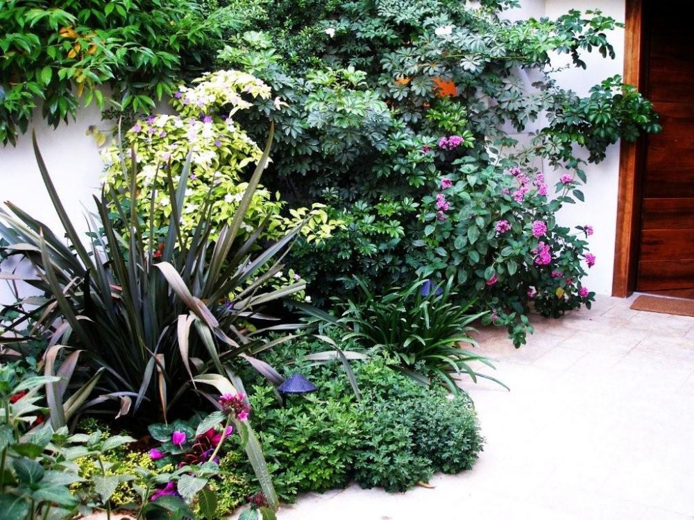 עיצוב גינה ברעננה