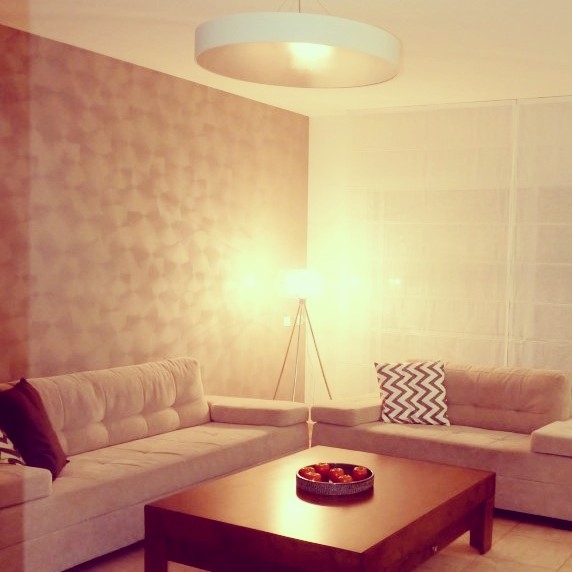 שיפוץ בית ביקנעם