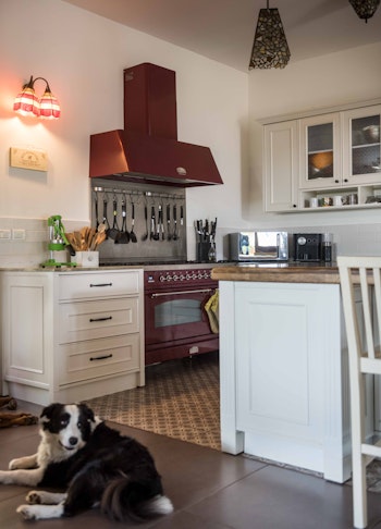 טעימות מפרויקטים שונים