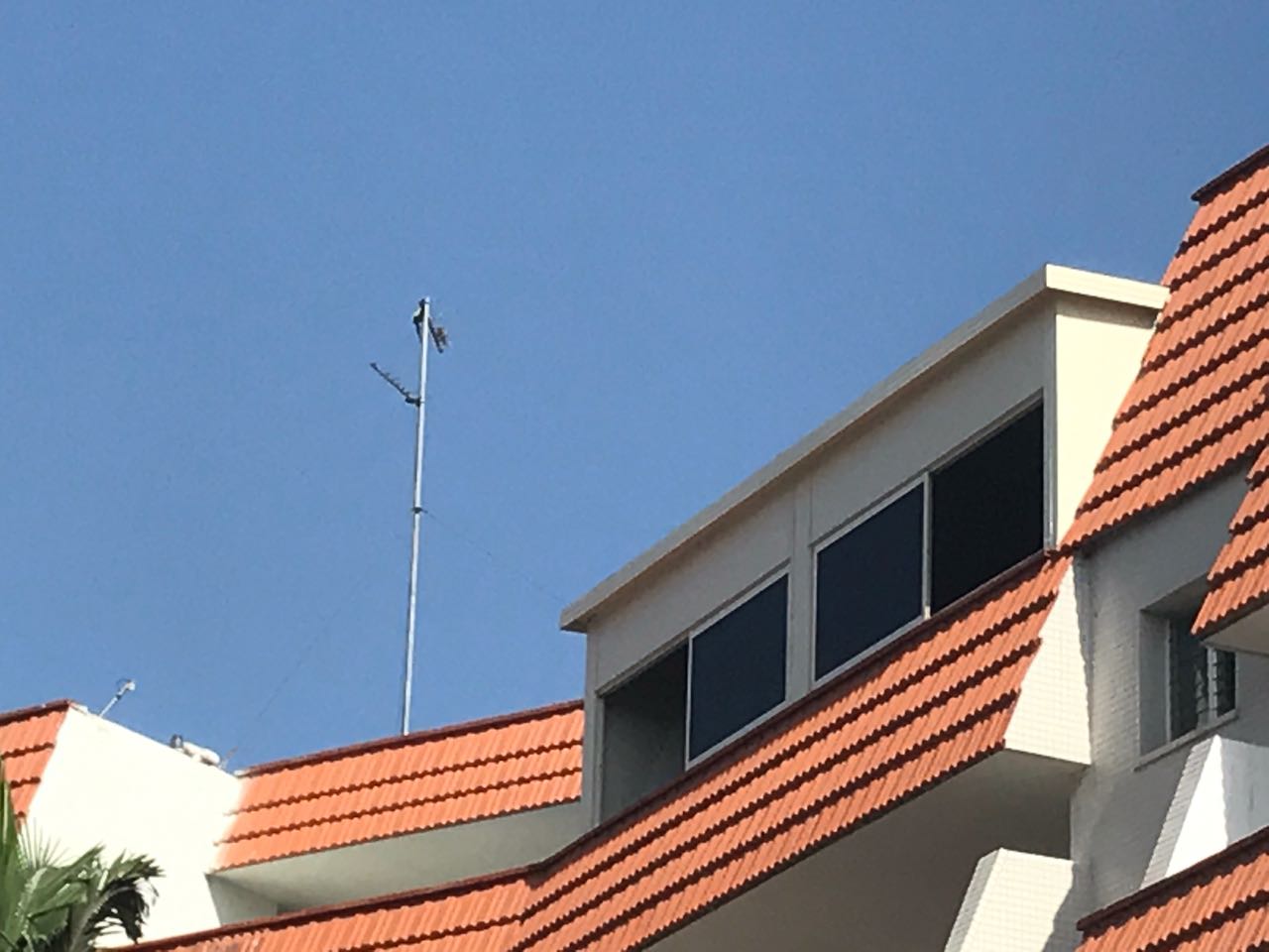 פרוייקטים שונים בבניה קלה