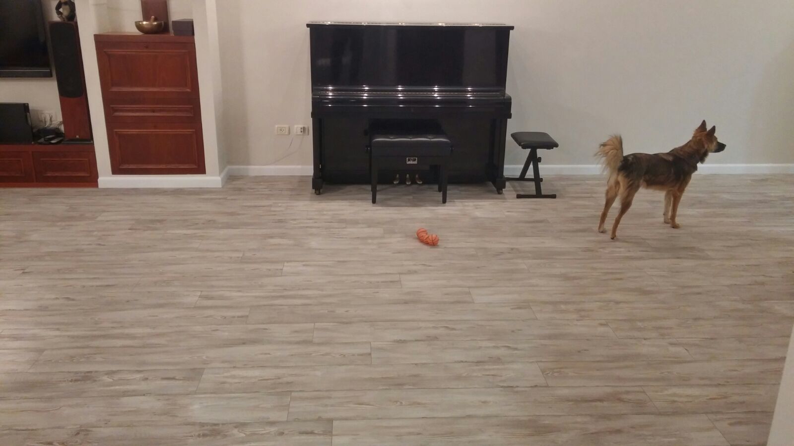 עבודות פרקטים ללקוחות