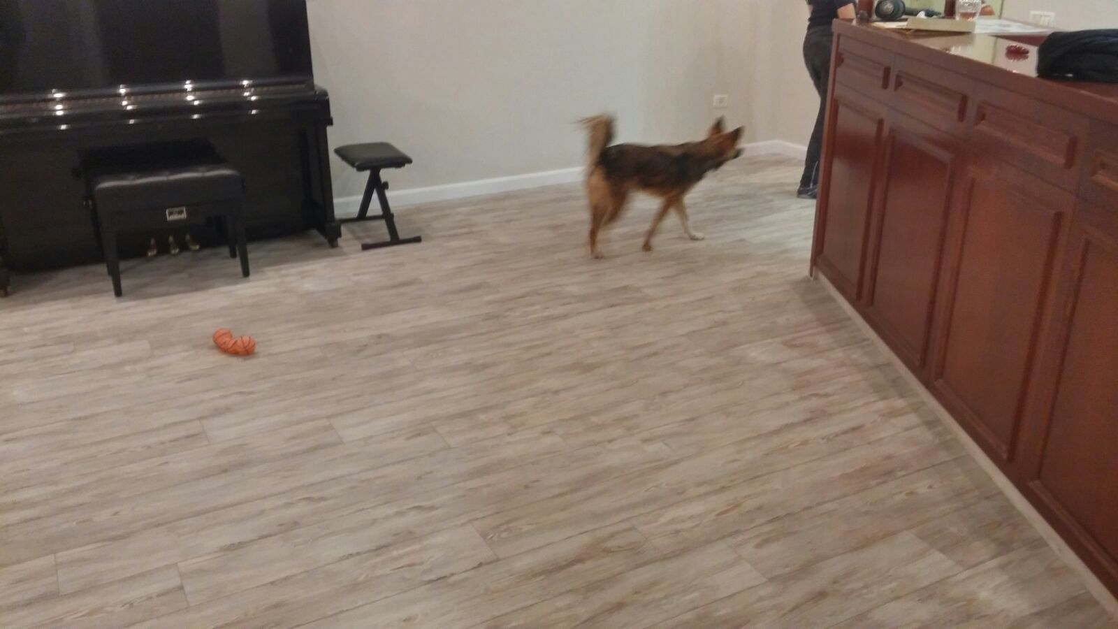 עבודות פרקטים ללקוחות