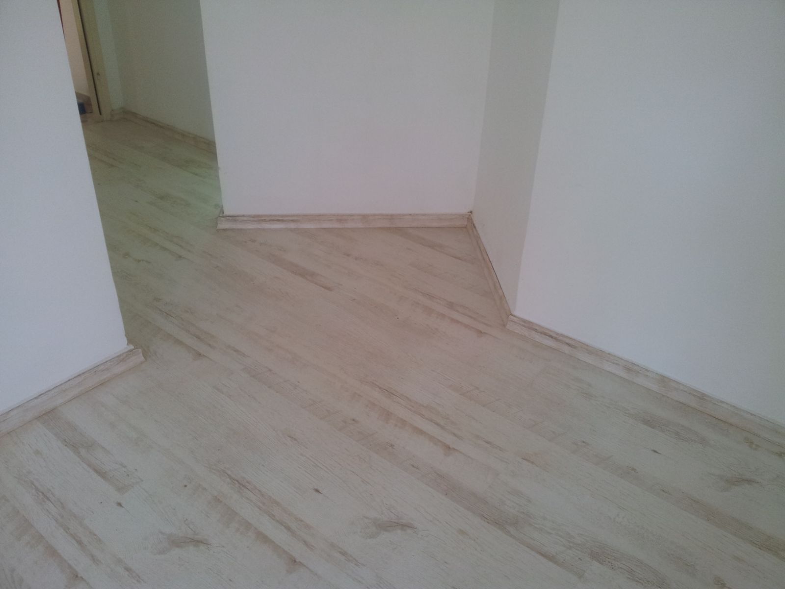 עבודות פרקטים בשרון