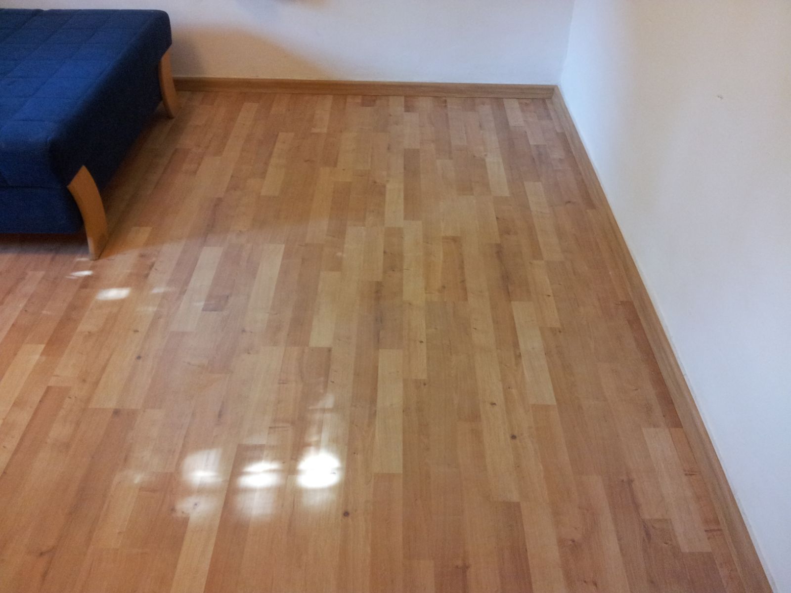 עבודות פרקטים בשרון