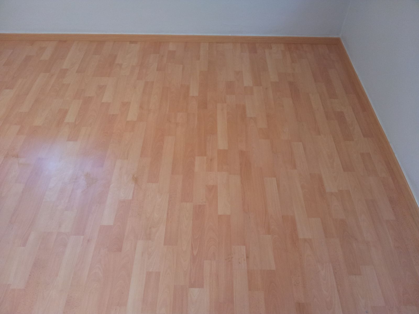 עבודות פרקטים בשרון