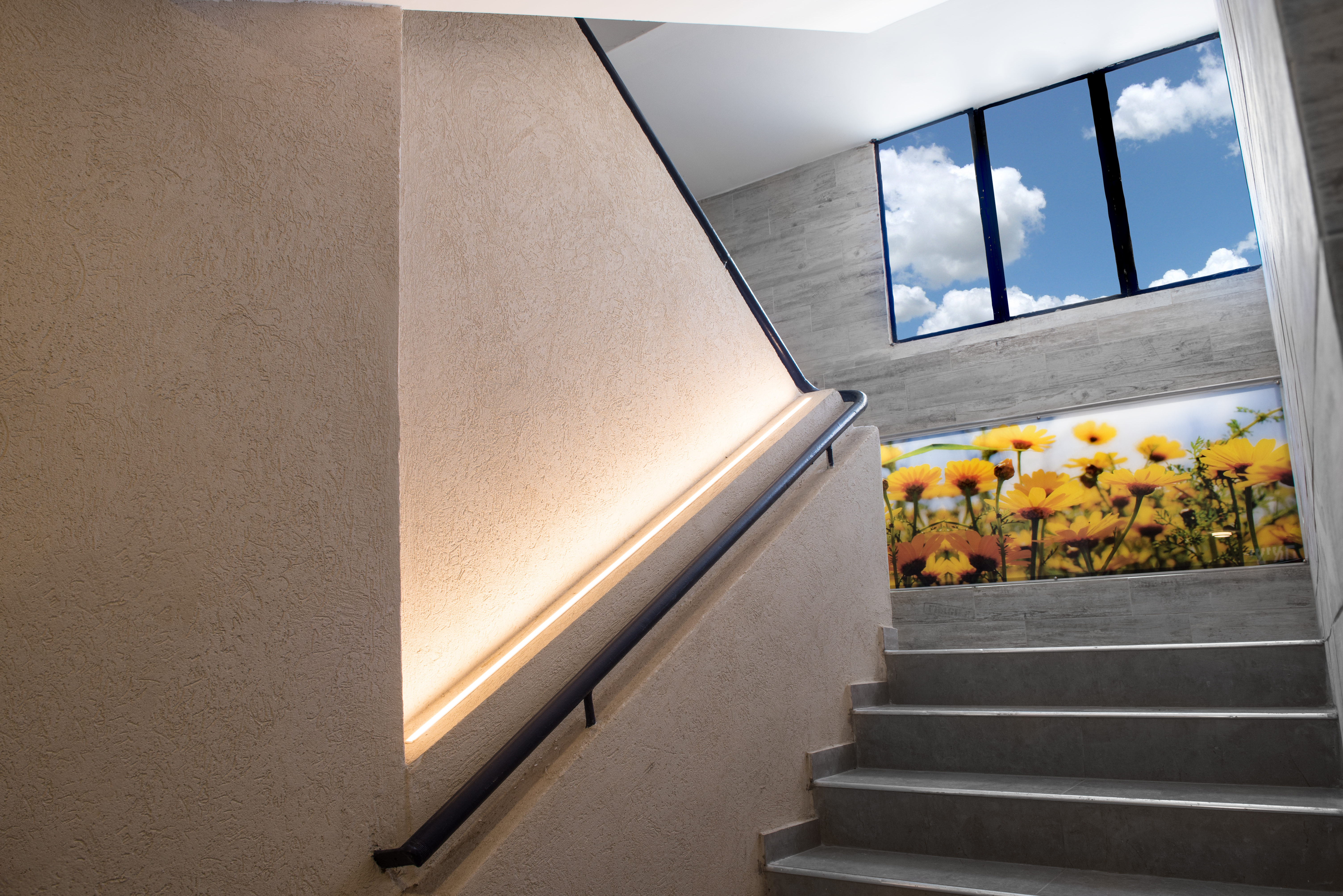 מקבץ תמונות מפרויקטים שונים