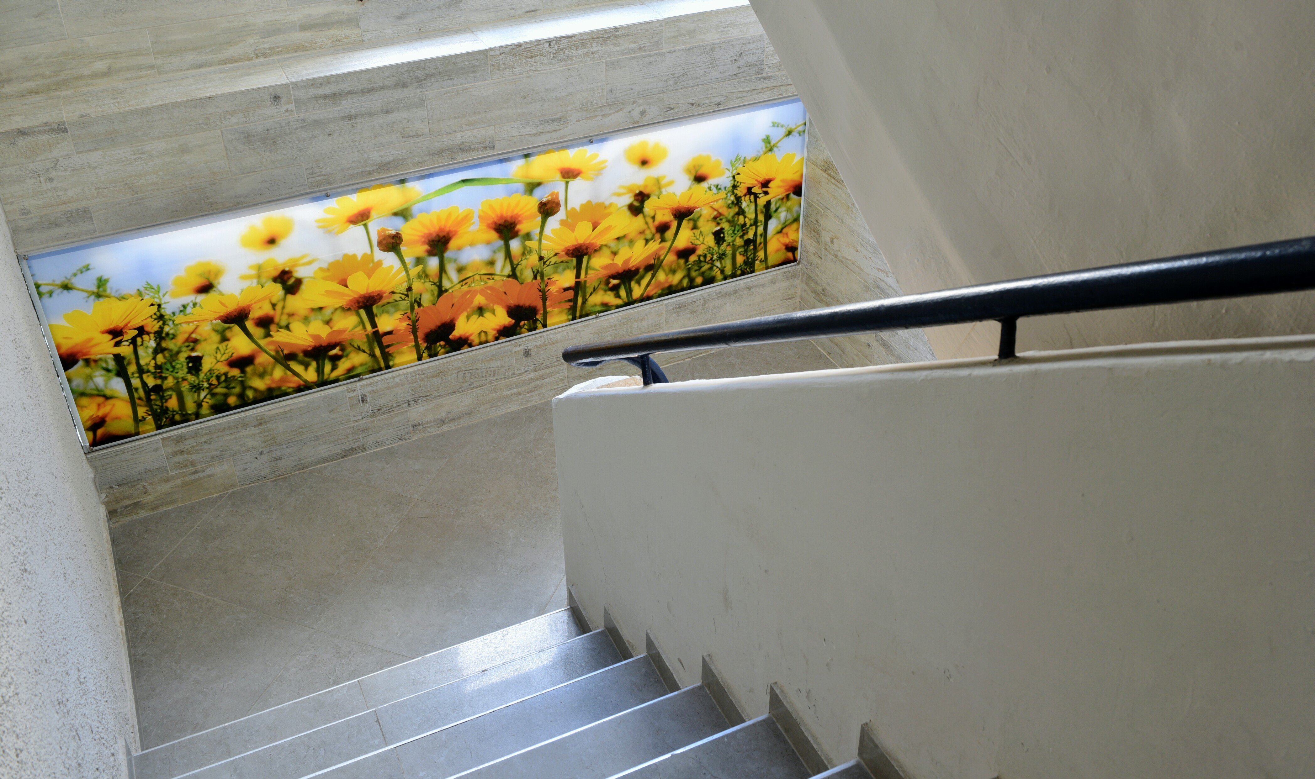 מקבץ תמונות מפרויקטים שונים