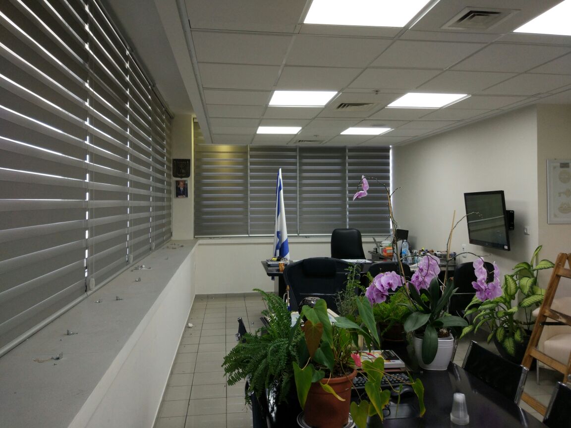 פרקטים, שטיחים, טפטים, וילונות