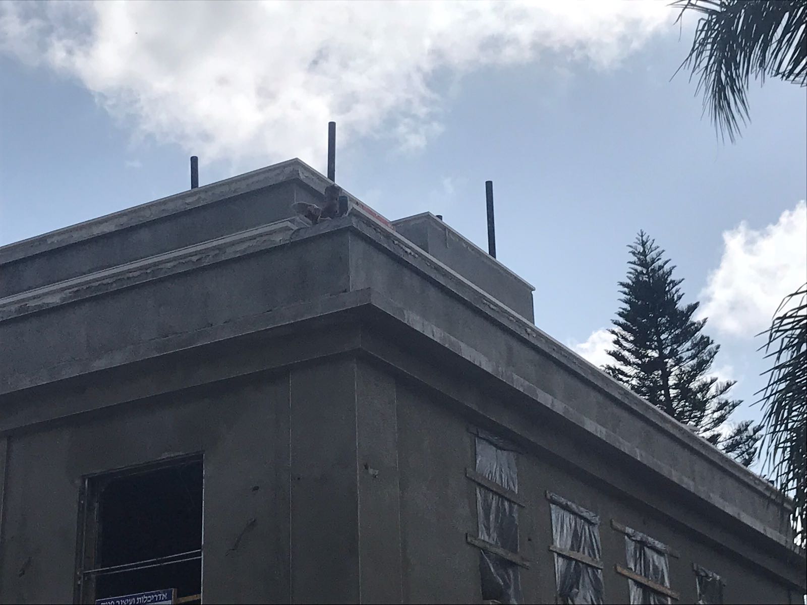 עבודות פיתוח ובניה