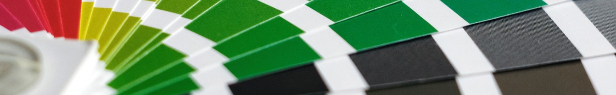 צילום מעבודה של גיא צבי