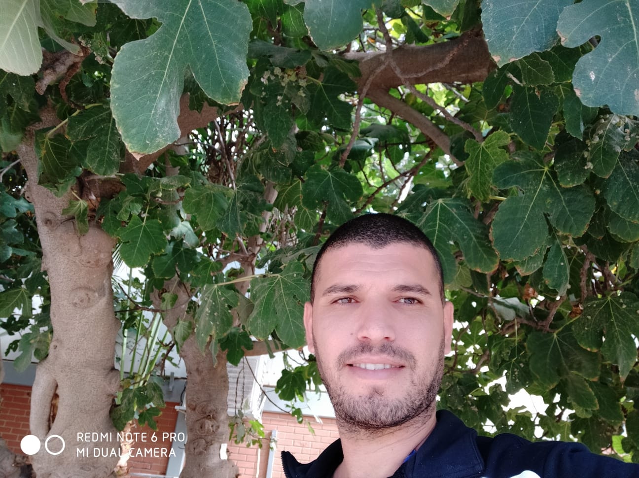 דודו עמרוסי