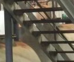 צילום מעבודה של ארז טולדנו