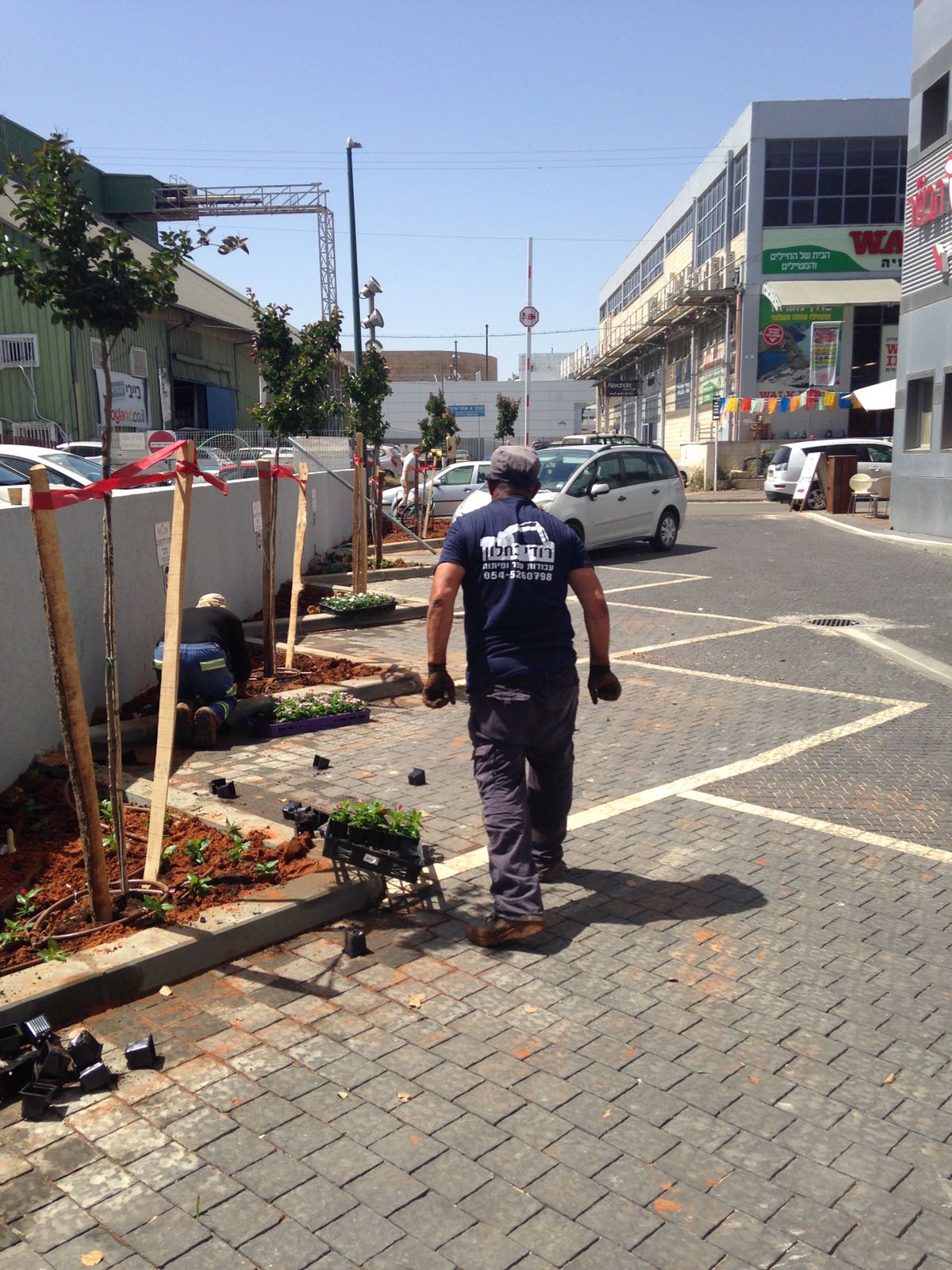 אבנים משתלבות ועבודות עפר ופיתוח