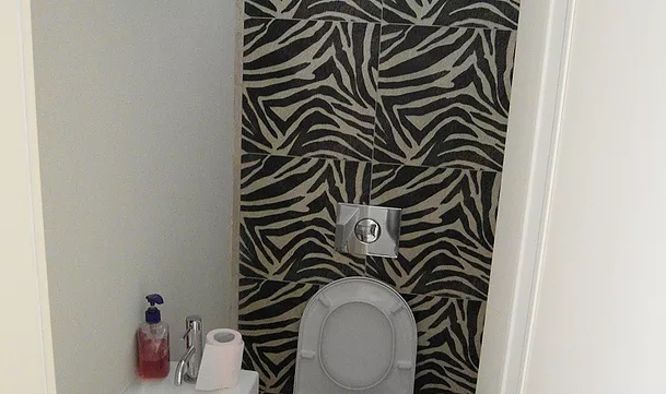 שיפוץ בית פרטי