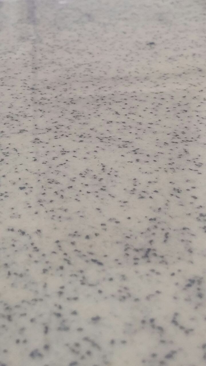 צבע, שליכט וחיפויים