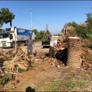 עבודות פיתוח