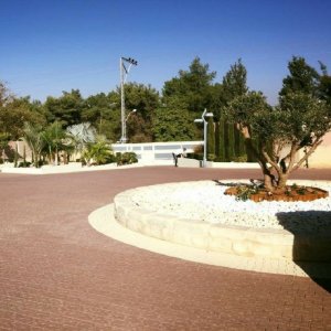 תכנון ועיצוב גינות