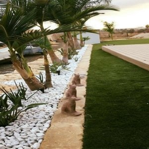 תכנון ועיצוב גינות