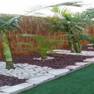 תכנון ועיצוב גינות