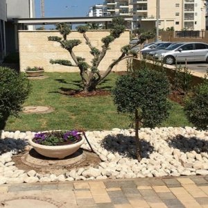 תכנון ועיצוב גינות