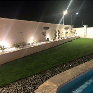 תכנון ועיצוב גינות