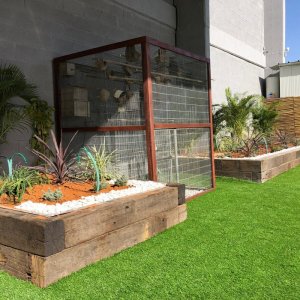 תכנון ועיצוב גינות