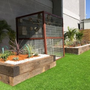 תכנון ועיצוב גינות