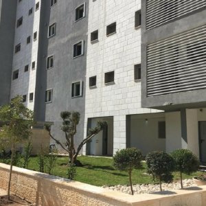 תכנון ועיצוב גינות