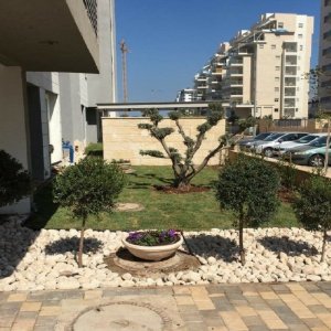 תכנון ועיצוב גינות