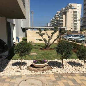 תכנון ועיצוב גינות