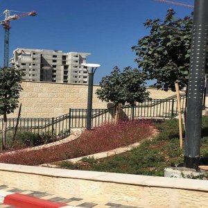 תכנון ועיצוב גינות