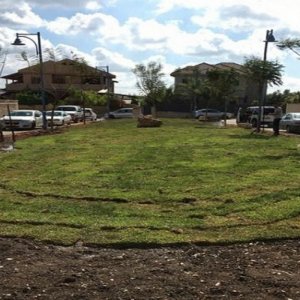 תכנון ועיצוב גינות