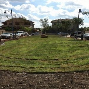 תכנון ועיצוב גינות