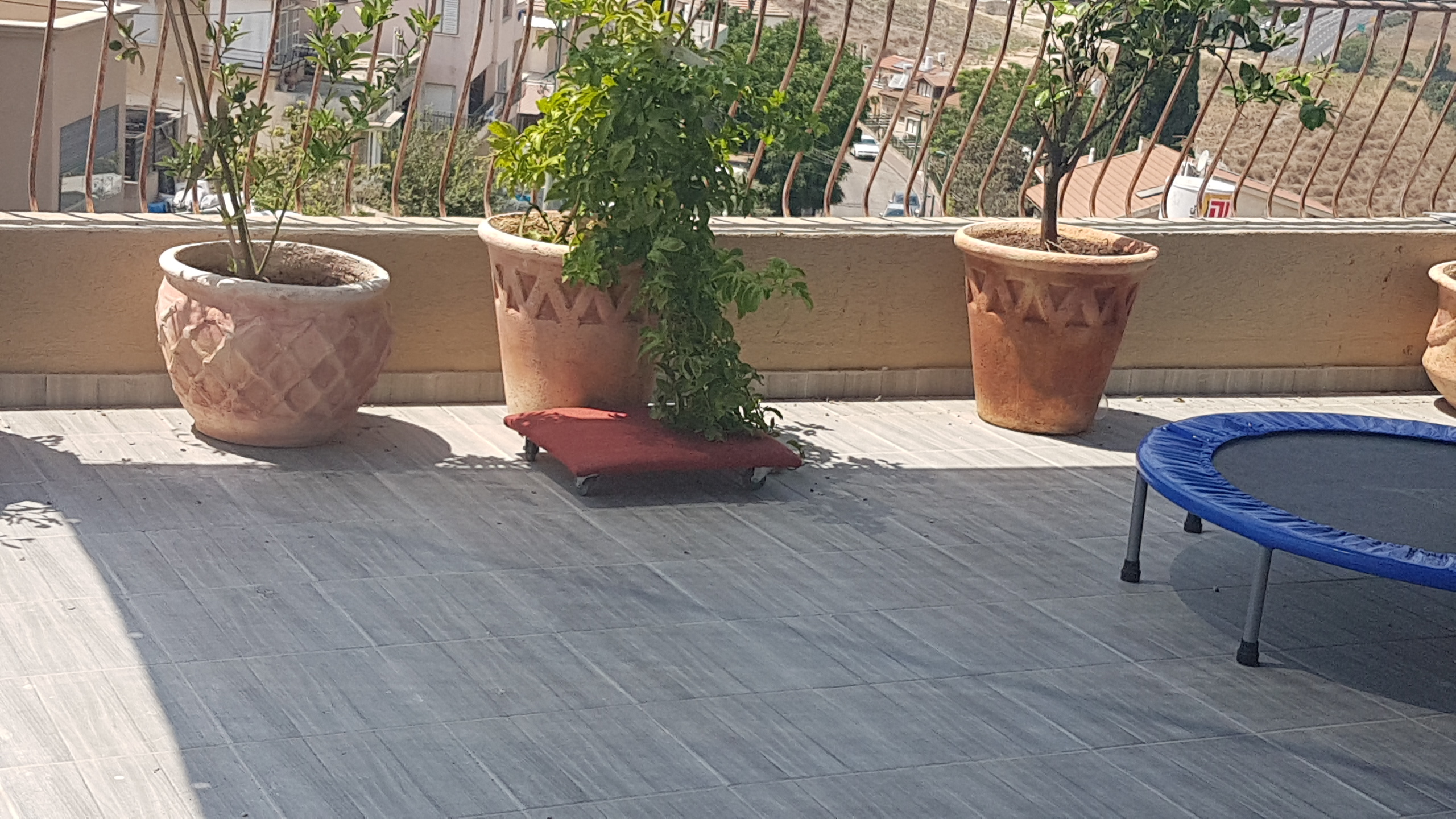 עבודות בגובה באזור המרכז והשרון