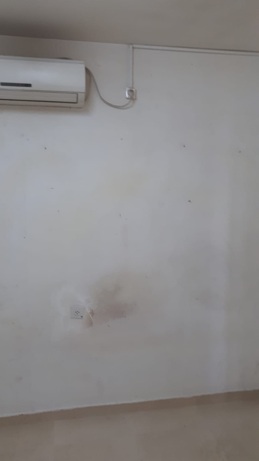 עבודת צבע ותיקונים