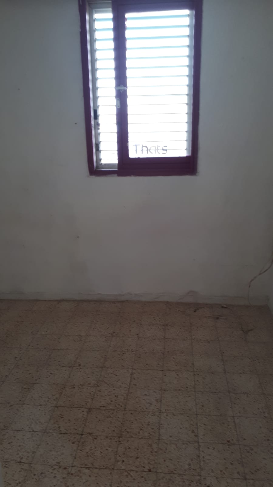 עבודת צבע ותיקונים