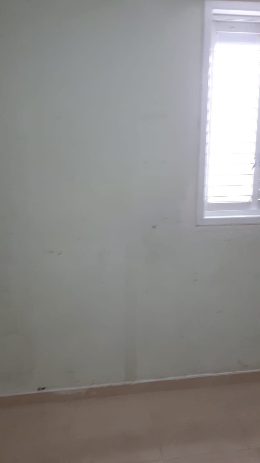 עבודת צבע ותיקונים