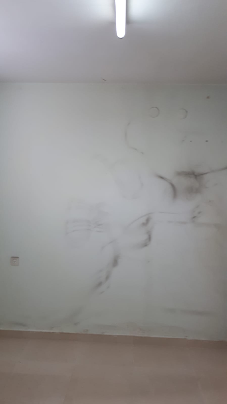 עבודת צבע ותיקונים