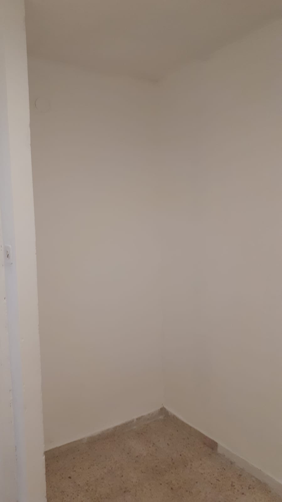 עבודת צבע ותיקונים